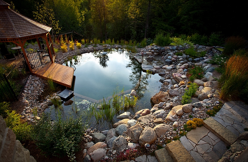 Natural-pool