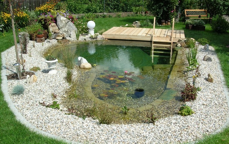 Natural-pool