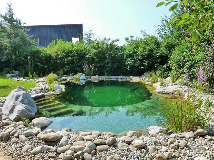 12 Enchanting Natural Swimming Pools Design Ideas For Your Living Area ...